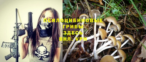 не бодяженный Абинск