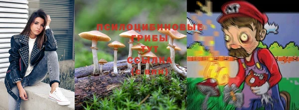 индика Алексеевка