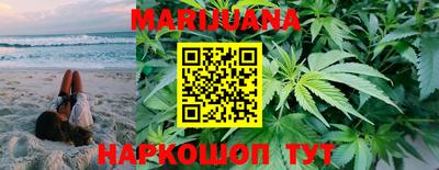 индика Пенза
