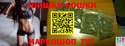 индика Пенза