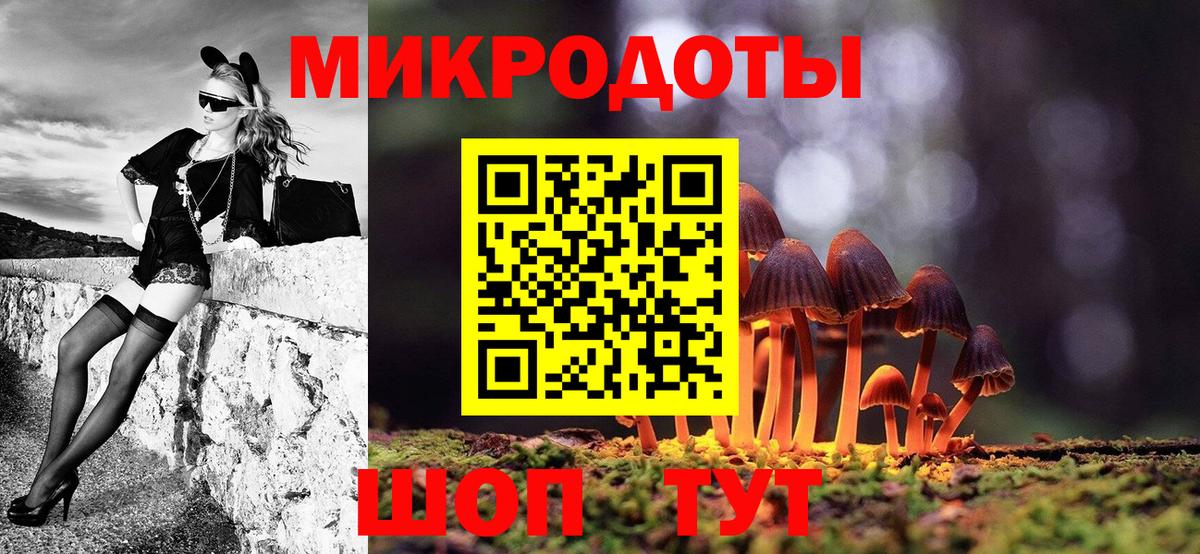 Галлюциногенные грибы Psilocybe  Псилоцибиновые грибы GOLDEN TEACHER  Шебекино  Вход с VPN 