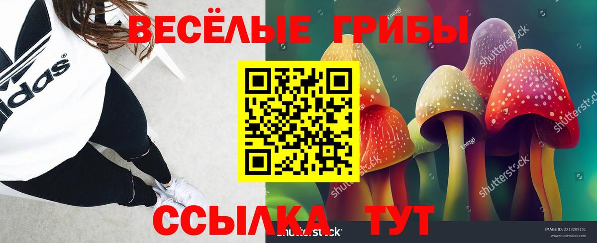 Галлюциногенные грибы ЛСД Шебекино